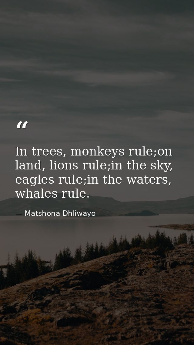 In trees, monkeys rule;on land, lions rule;in the sky, eagles rule;in the waters, whales rule. — Matshona Dhliwayo