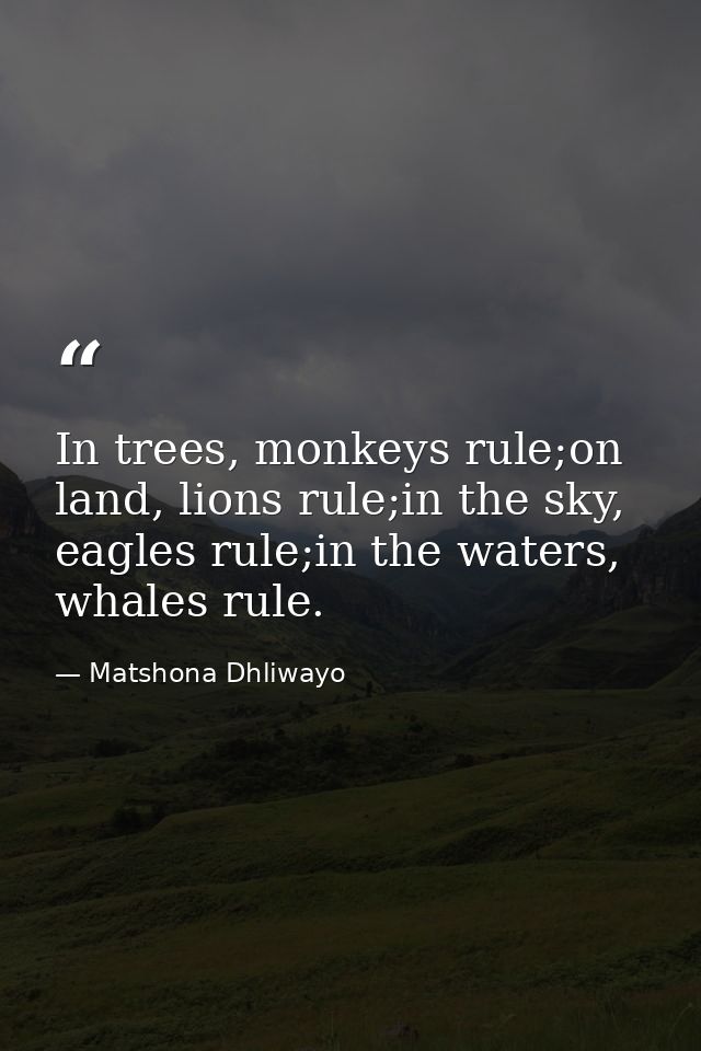 In trees, monkeys rule;on land, lions rule;in the sky, eagles rule;in the waters, whales rule. — Matshona Dhliwayo