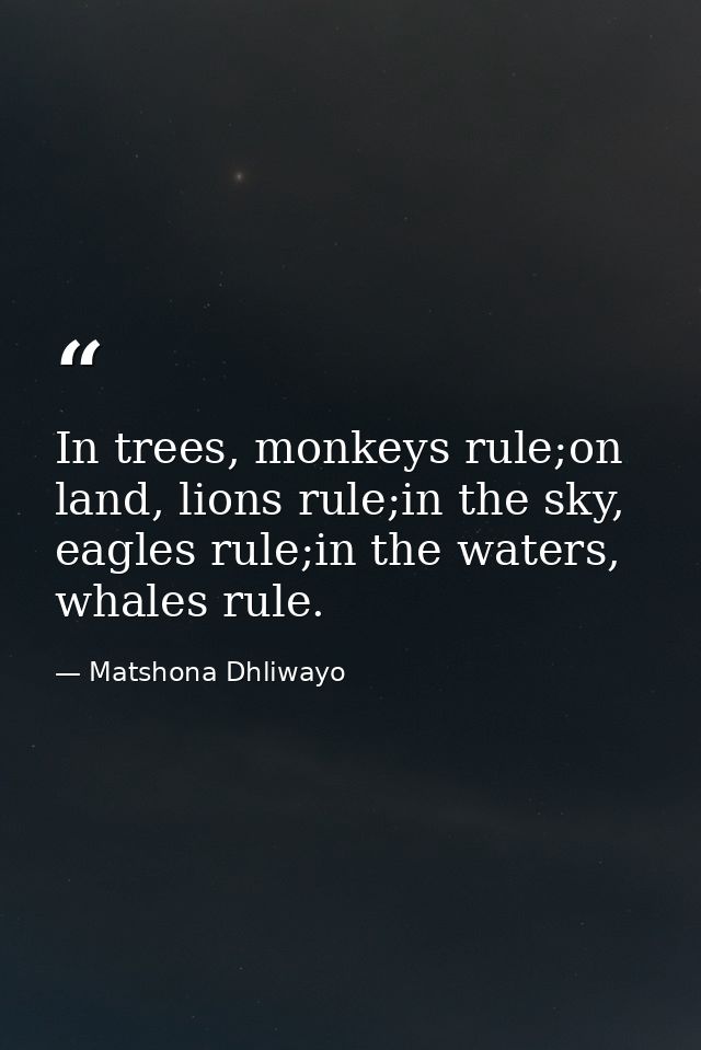 In trees, monkeys rule;on land, lions rule;in the sky, eagles rule;in the waters, whales rule. — Matshona Dhliwayo
