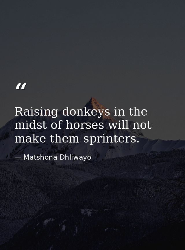 Raising donkeys in the midst of horses will not make them sprinters. — Matshona Dhliwayo