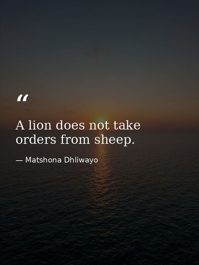 A lion does not take orders from sheep. — Matshona Dhliwayo