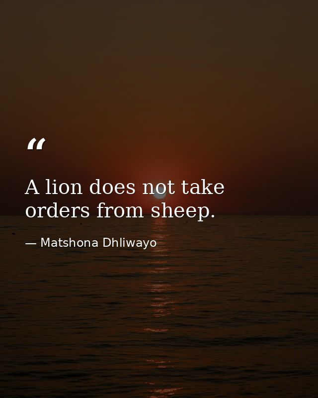 A lion does not take orders from sheep. — Matshona Dhliwayo