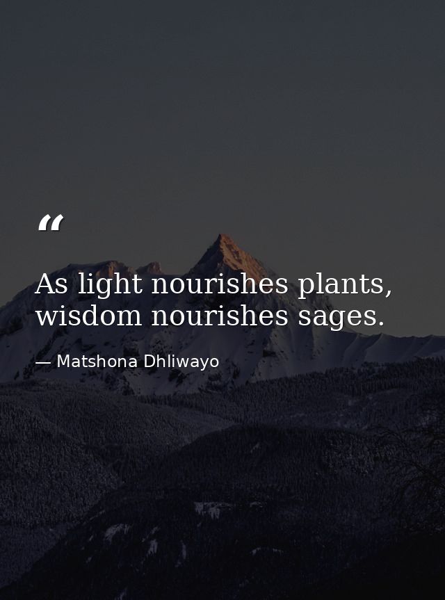 As light nourishes plants, wisdom nourishes sages. — Matshona Dhliwayo