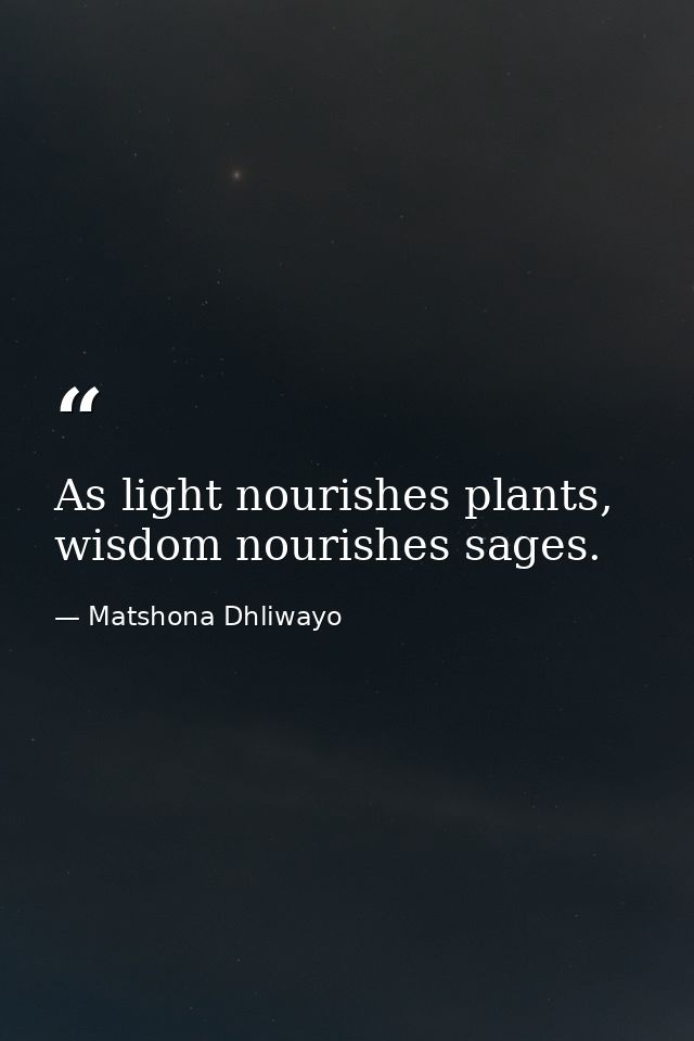 As light nourishes plants, wisdom nourishes sages. — Matshona Dhliwayo