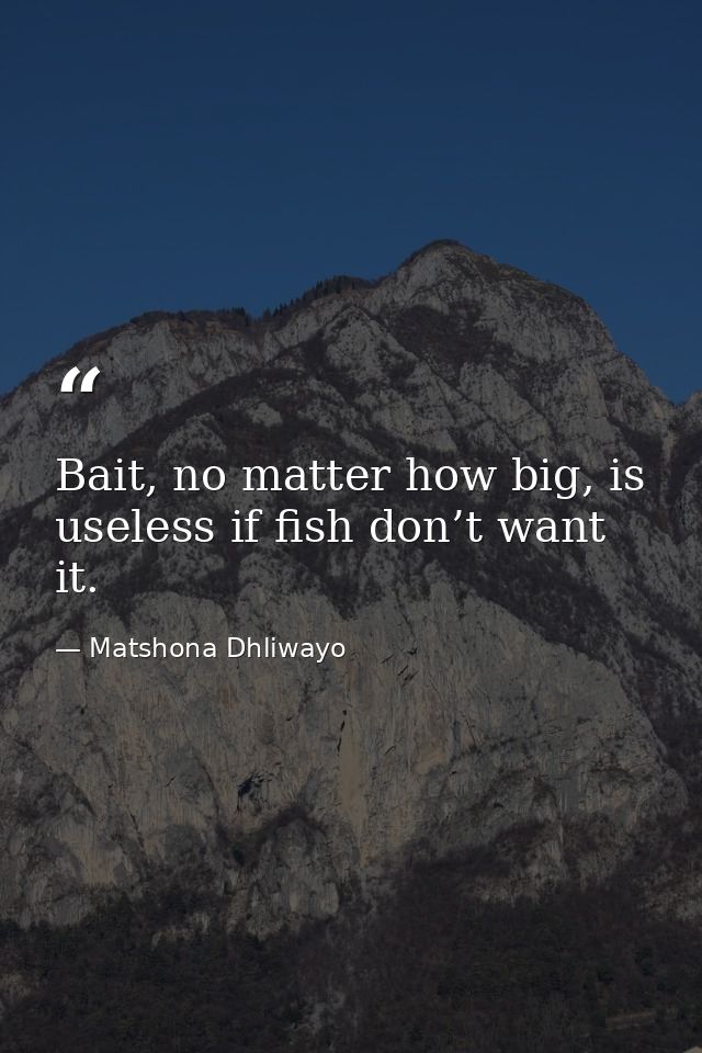 Bait, no matter how big, is useless if fish don’t want it. — Matshona Dhliwayo