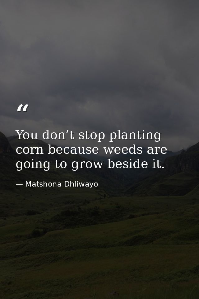 You don’t stop planting corn because weeds are going to grow beside it. — Matshona Dhliwayo