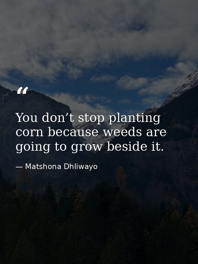You don’t stop planting corn because weeds are going to grow beside it. — Matshona Dhliwayo