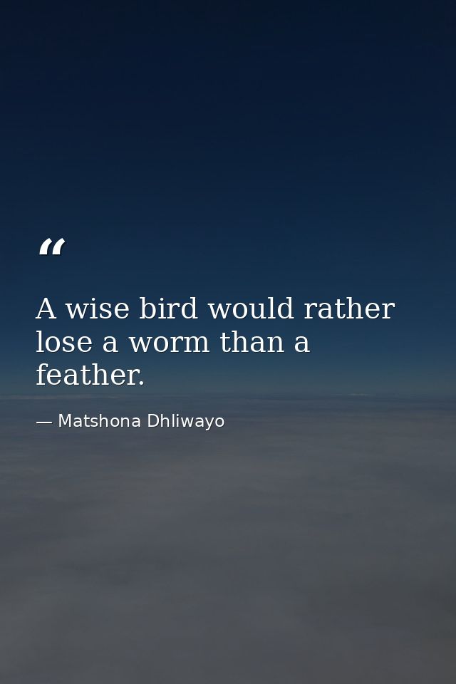 A wise bird would rather lose a worm than a feather. — Matshona Dhliwayo