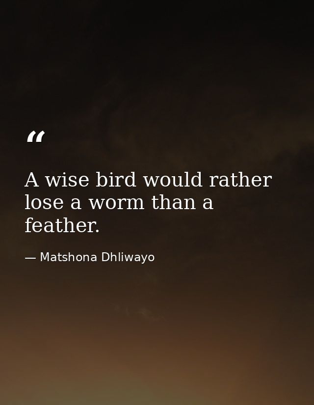 A wise bird would rather lose a worm than a feather. — Matshona Dhliwayo