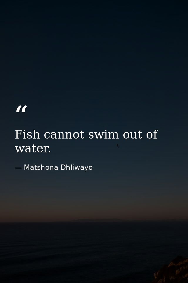 Fish cannot swim out of water. — Matshona Dhliwayo