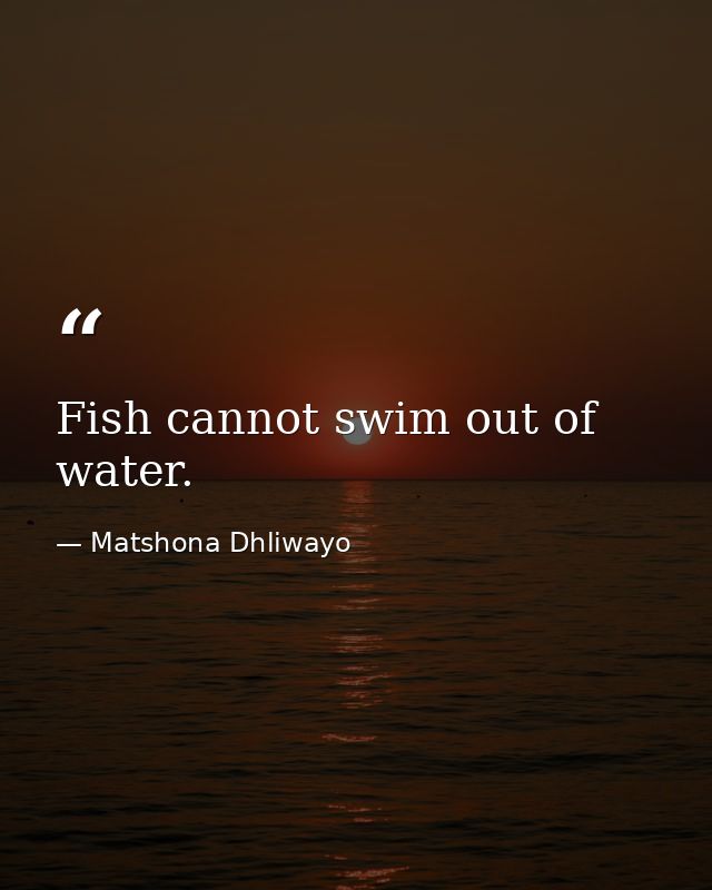 Fish cannot swim out of water. — Matshona Dhliwayo