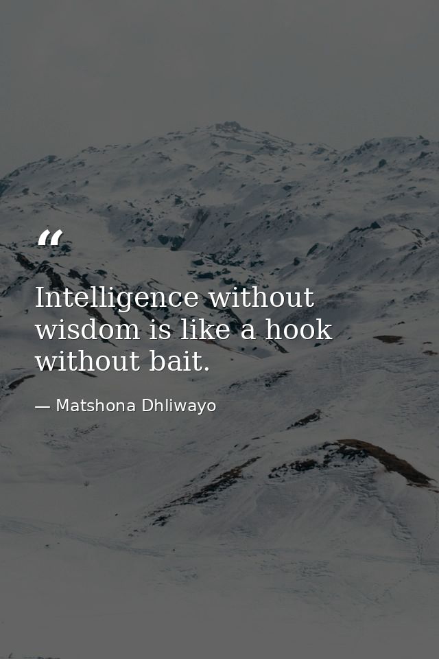Intelligence without wisdom is like a hook without bait. — Matshona Dhliwayo