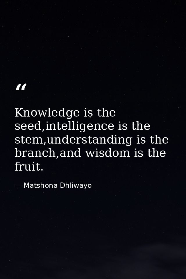 Knowledge is the seed,intelligence is the stem,understanding is the branch,and wisdom is the fruit. — Matshona Dhliwayo