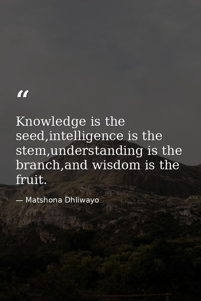 Knowledge is the seed,intelligence is the stem,understanding is the branch,and wisdom is the fruit. — Matshona Dhliwayo