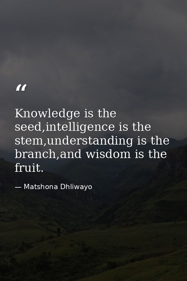 Knowledge is the seed,intelligence is the stem,understanding is the branch,and wisdom is the fruit. — Matshona Dhliwayo