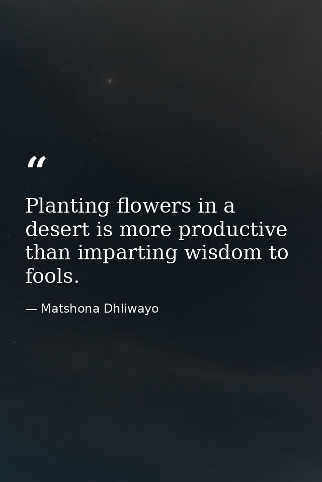 Planting flowers in a desert is more productive than imparting wisdom to fools. — Matshona Dhliwayo