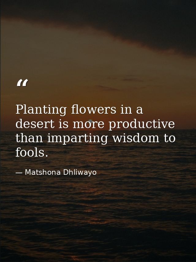 Planting flowers in a desert is more productive than imparting wisdom to fools. — Matshona Dhliwayo