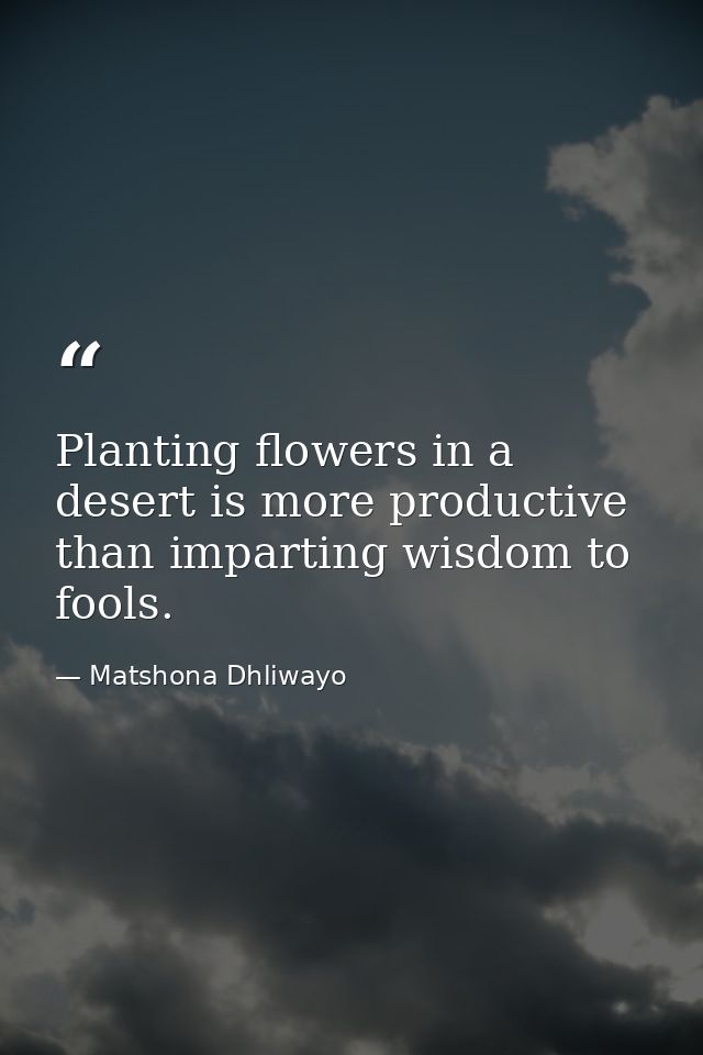 Planting flowers in a desert is more productive than imparting wisdom to fools. — Matshona Dhliwayo