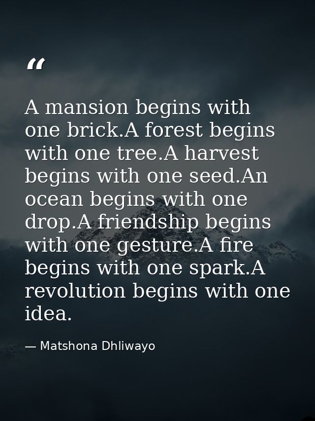 A mansion begins with one brick.A forest begins with one tree.A harvest begins with one seed.An ocean begins with one dr — Matshona Dhliwayo