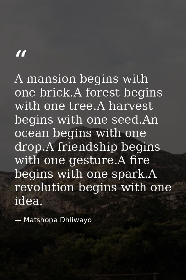 A mansion begins with one brick.A forest begins with one tree.A harvest begins with one seed.An ocean begins with one dr — Matshona Dhliwayo