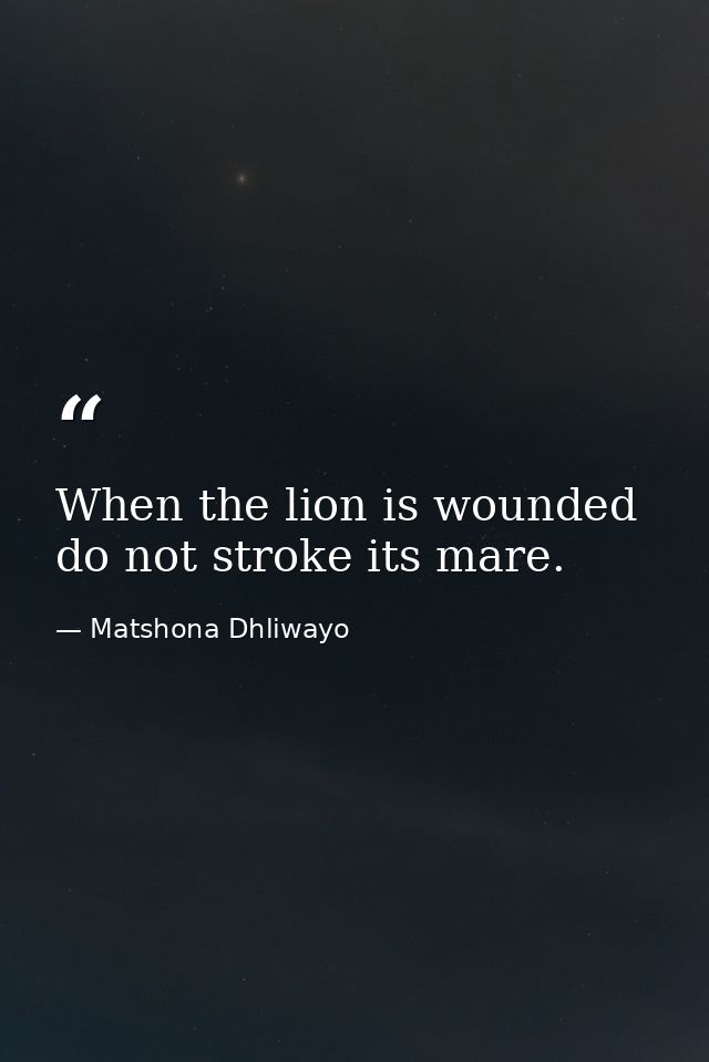 When the lion is wounded do not stroke its mare. — Matshona Dhliwayo
