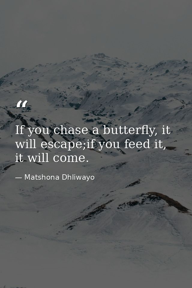 If you chase a butterfly, it will escape;if you feed it, it will come. — Matshona Dhliwayo