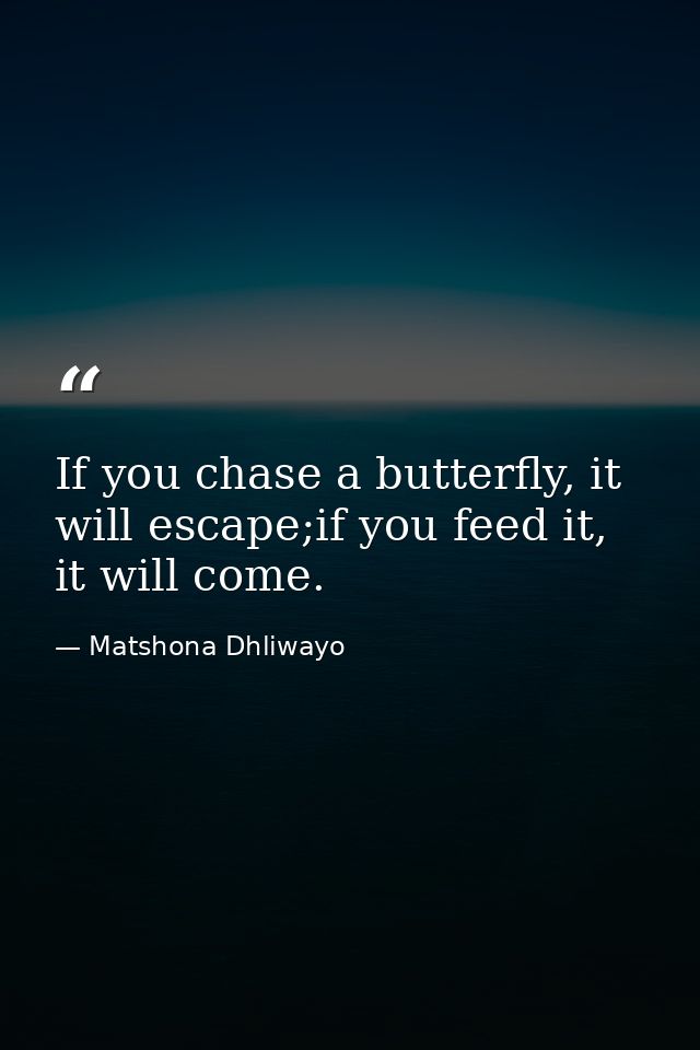 If you chase a butterfly, it will escape;if you feed it, it will come. — Matshona Dhliwayo