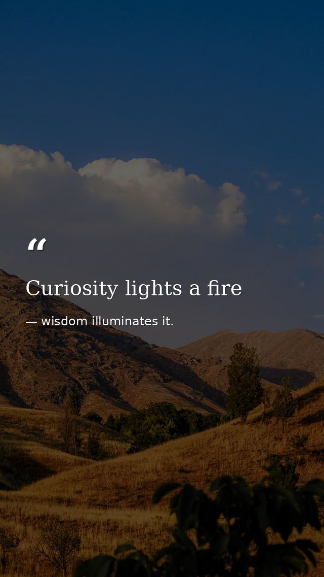 Curiosity lights a fire — wisdom illuminates it.