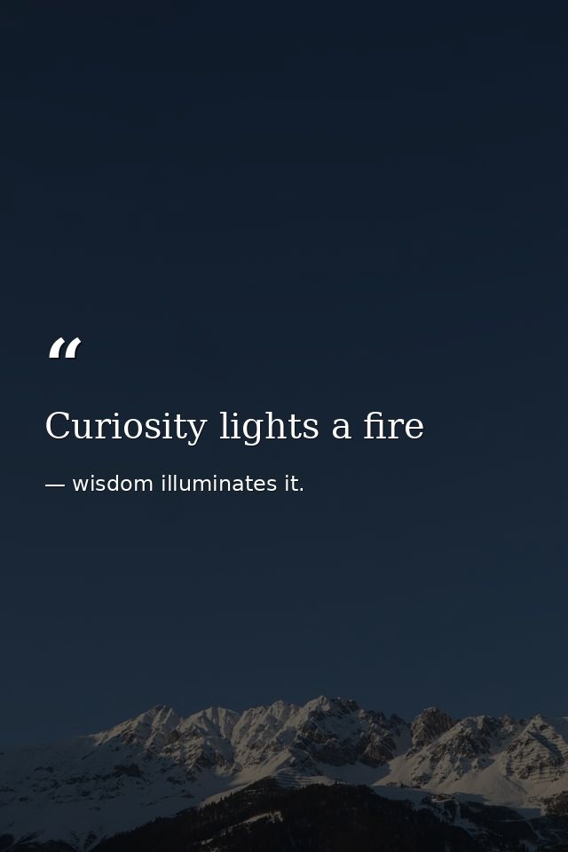 Curiosity lights a fire — wisdom illuminates it.