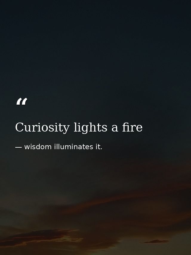 Curiosity lights a fire — wisdom illuminates it.