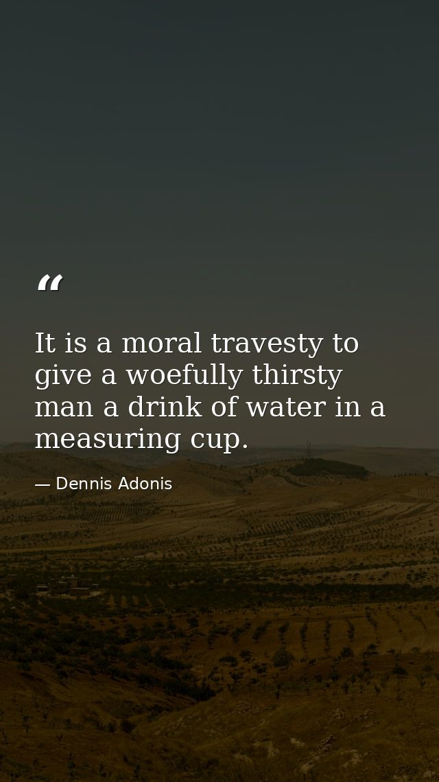 It is a moral travesty to give a woefully thirsty man a drink of water in a measuring cup. — Dennis Adonis