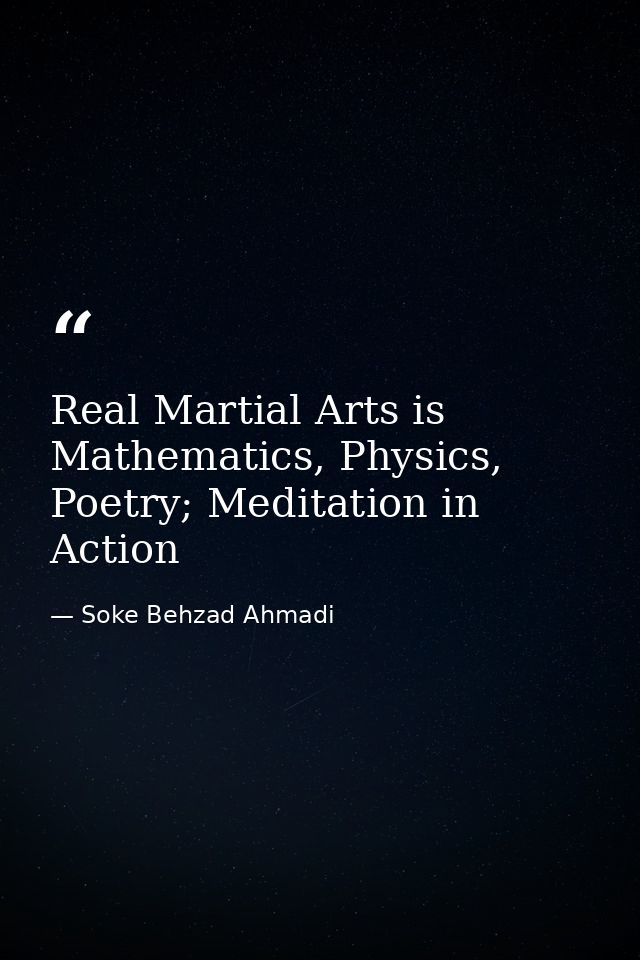 Real Martial Arts is Mathematics, Physics, Poetry; Meditation in Action — Soke Behzad Ahmadi
