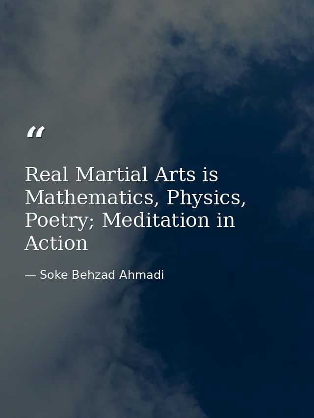 Real Martial Arts is Mathematics, Physics, Poetry; Meditation in Action — Soke Behzad Ahmadi