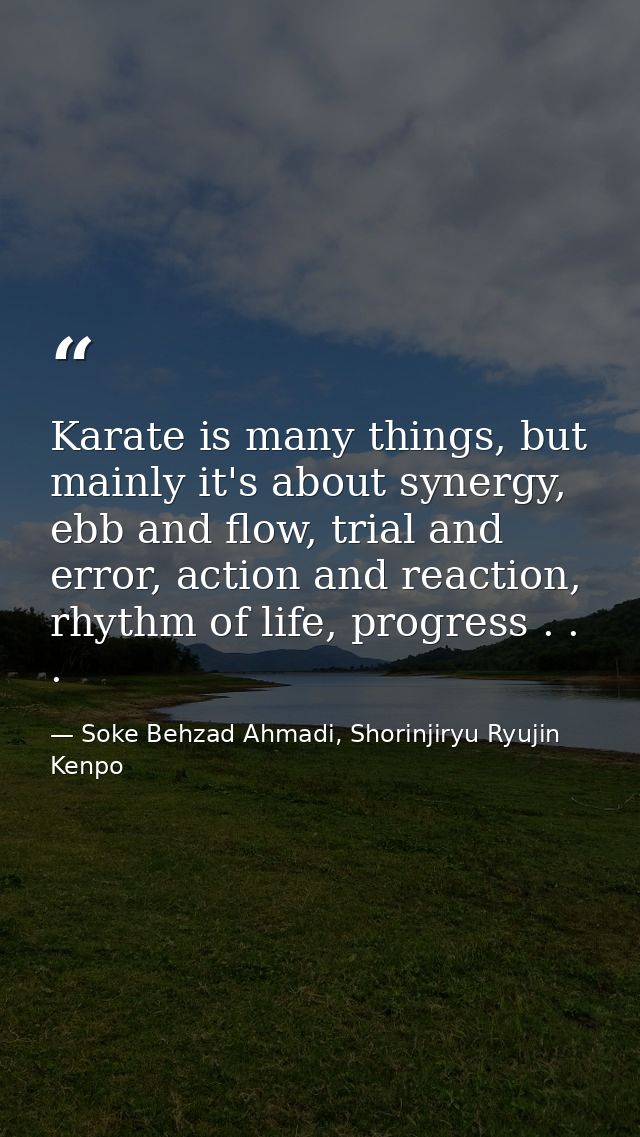 Karate is many things, but mainly it's about synergy, ebb and flow, trial and error, action and reaction, rhythm of life — Soke Behzad Ahmadi, Shorinjiryu Ryujin Kenpo