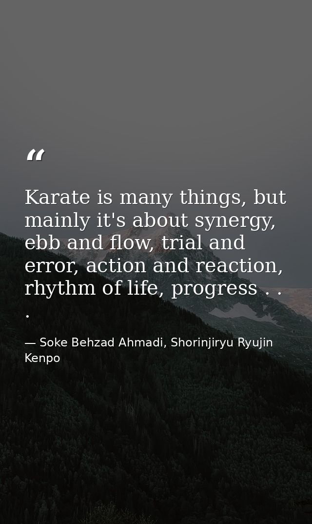 Karate is many things, but mainly it's about synergy, ebb and flow, trial and error, action and reaction, rhythm of life — Soke Behzad Ahmadi, Shorinjiryu Ryujin Kenpo