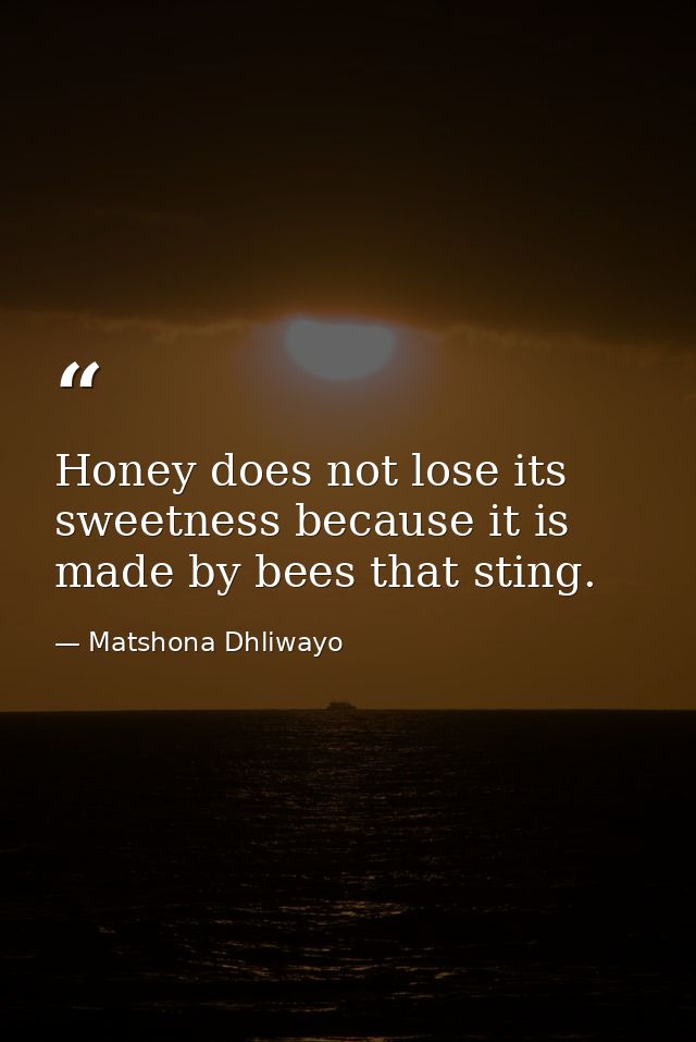 Honey does not lose its sweetness because it is made by bees that sting. — Matshona Dhliwayo