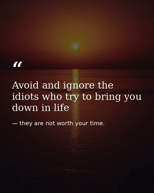 Avoid and ignore the idiots who try to bring you down in life — they are not worth your time.