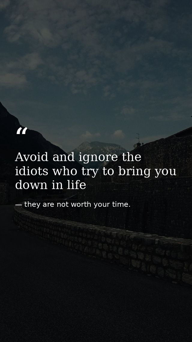 Avoid and ignore the idiots who try to bring you down in life — they are not worth your time.