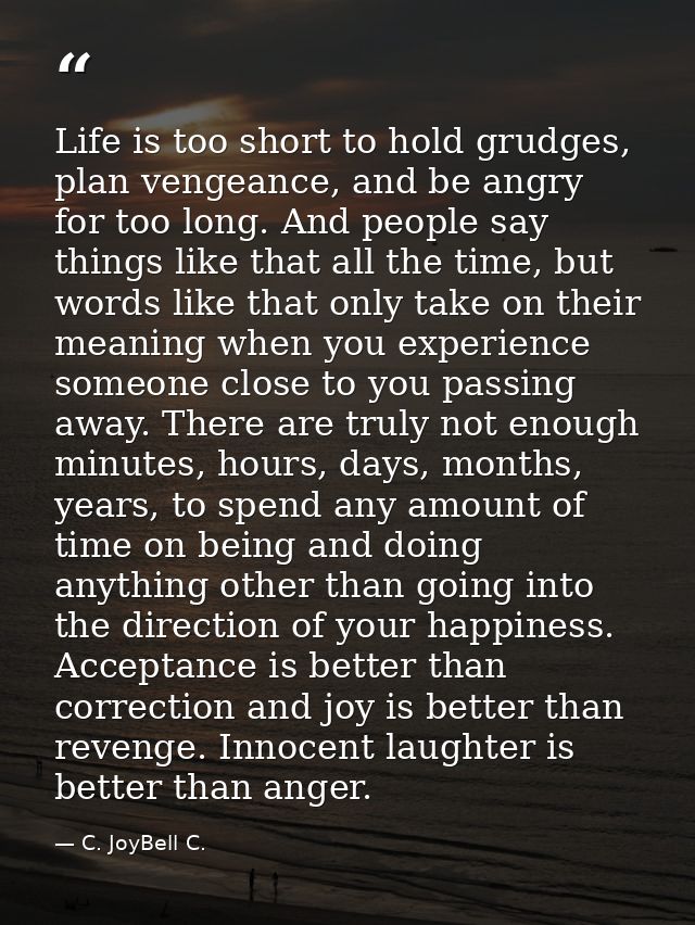 Life is too short to hold grudges, plan vengeance, and be angry for too long. And people say things like that all the ti — C. JoyBell C.