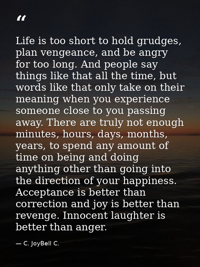 Life is too short to hold grudges, plan vengeance, and be angry for too long. And people say things like that all the ti — C. JoyBell C.
