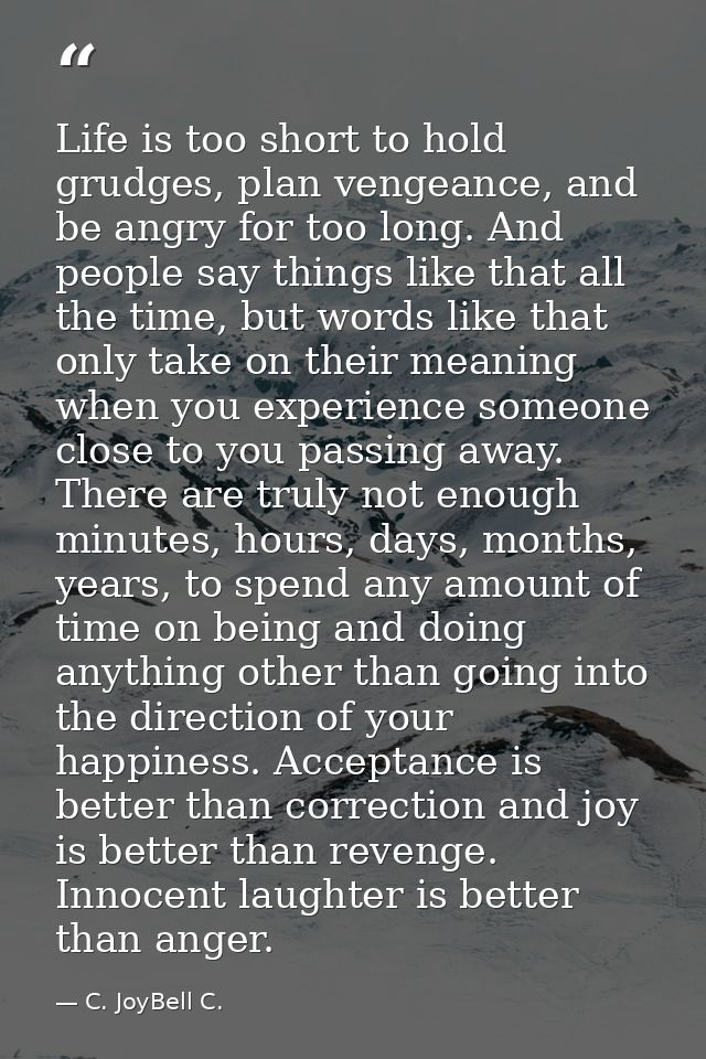 Life is too short to hold grudges, plan vengeance, and be angry for too long. And people say things like that all the ti — C. JoyBell C.
