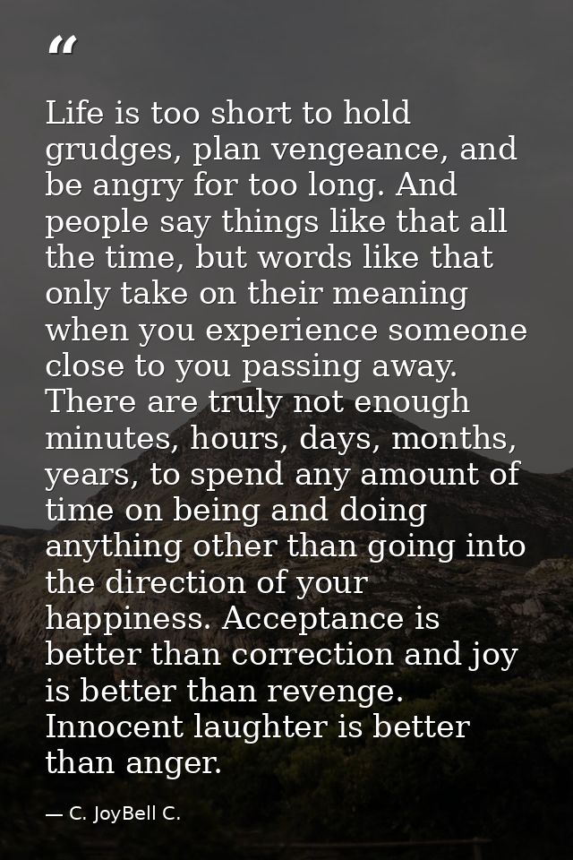 Life is too short to hold grudges, plan vengeance, and be angry for too long. And people say things like that all the ti — C. JoyBell C.