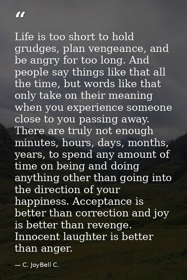 Life is too short to hold grudges, plan vengeance, and be angry for too long. And people say things like that all the ti — C. JoyBell C.