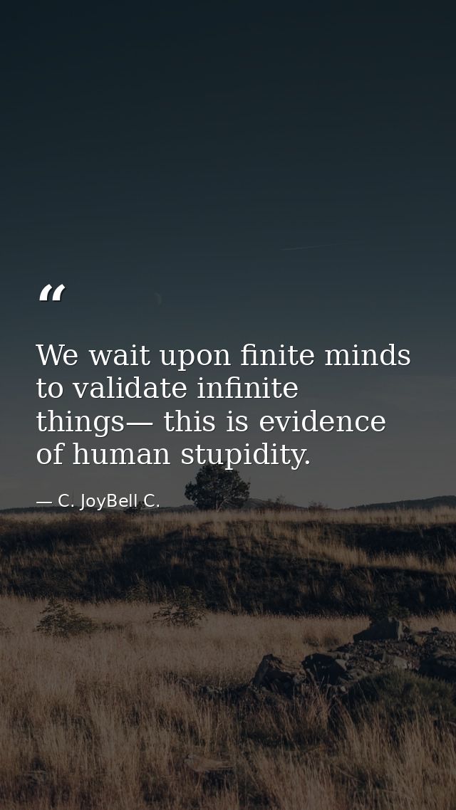We wait upon finite minds to validate infinite things— this is evidence of human stupidity. — C. JoyBell C.