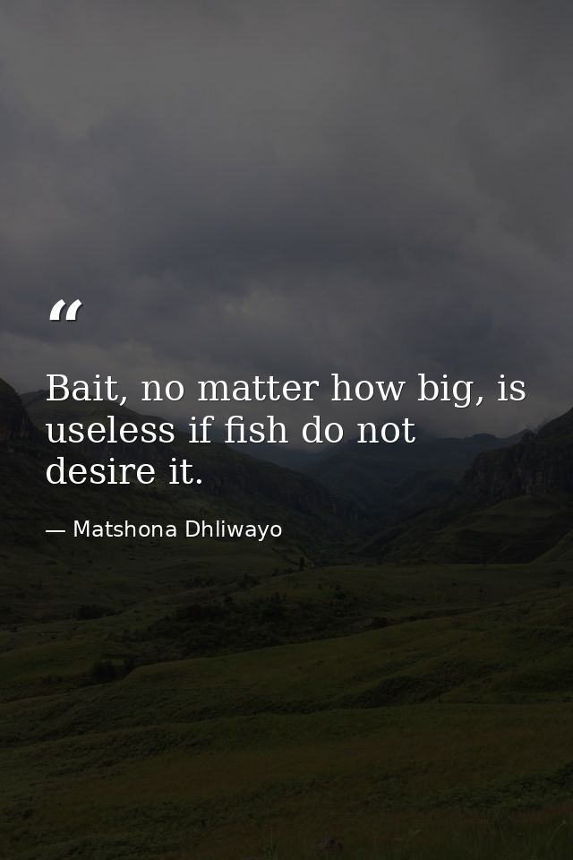 Bait, no matter how big, is useless if fish do not desire it. — Matshona Dhliwayo