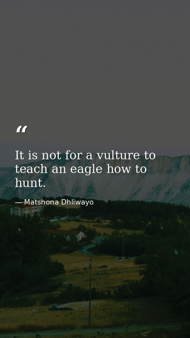 It is not for a vulture to teach an eagle how to hunt. — Matshona Dhliwayo