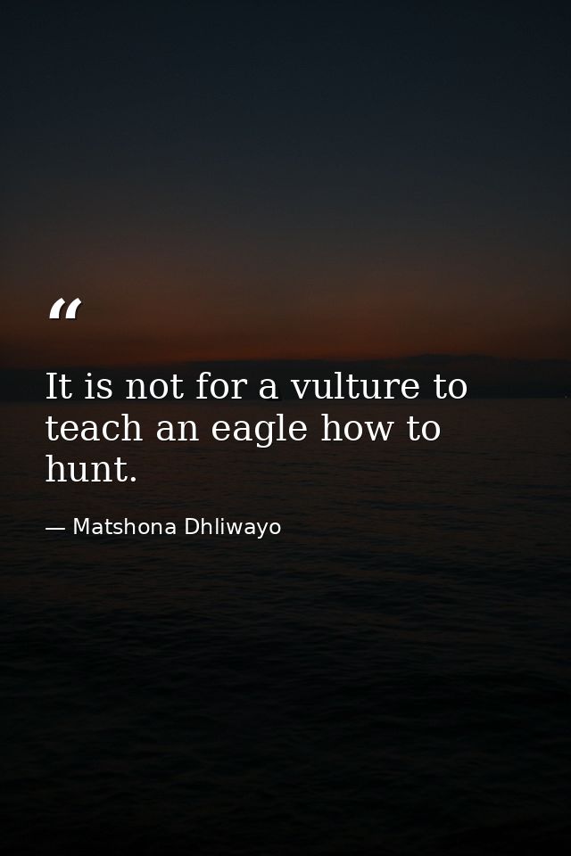 It is not for a vulture to teach an eagle how to hunt. — Matshona Dhliwayo
