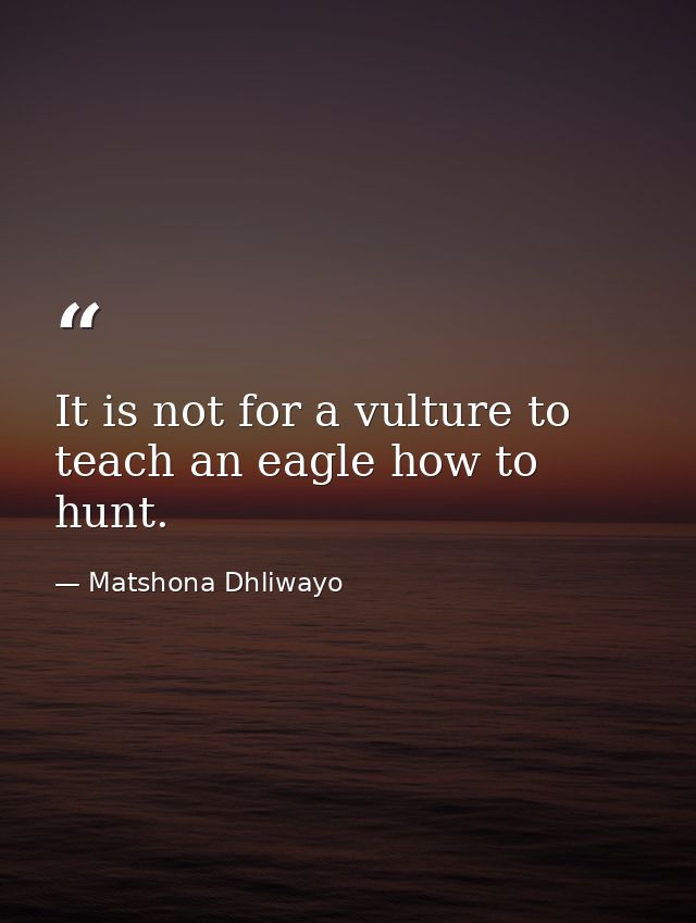It is not for a vulture to teach an eagle how to hunt. — Matshona Dhliwayo