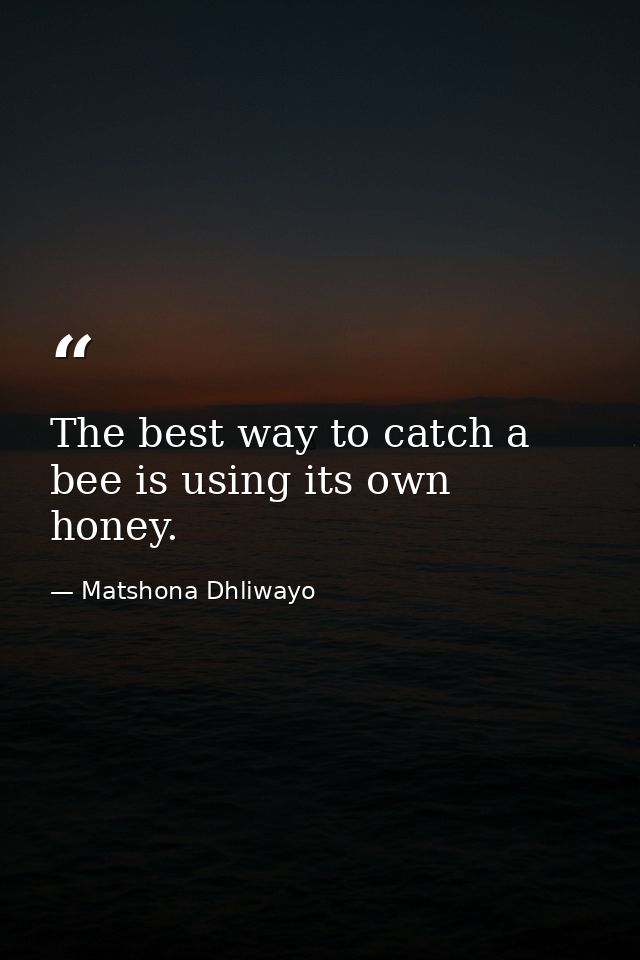 The best way to catch a bee is using its own honey. — Matshona Dhliwayo