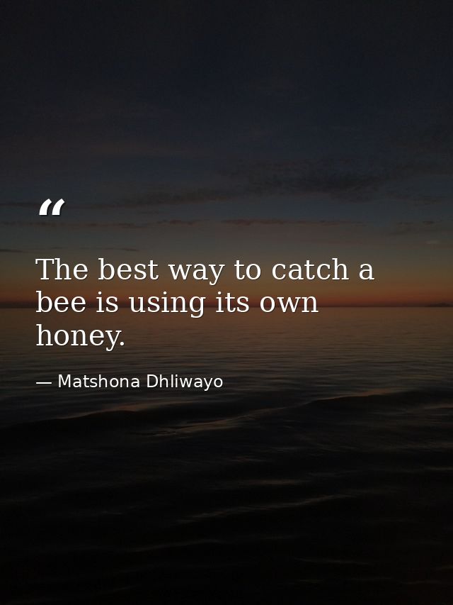 The best way to catch a bee is using its own honey. — Matshona Dhliwayo